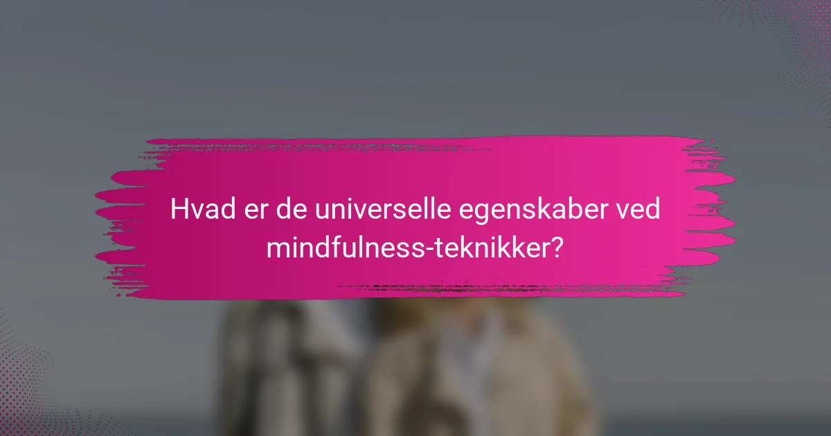 Hvad er de universelle egenskaber ved mindfulness-teknikker?
