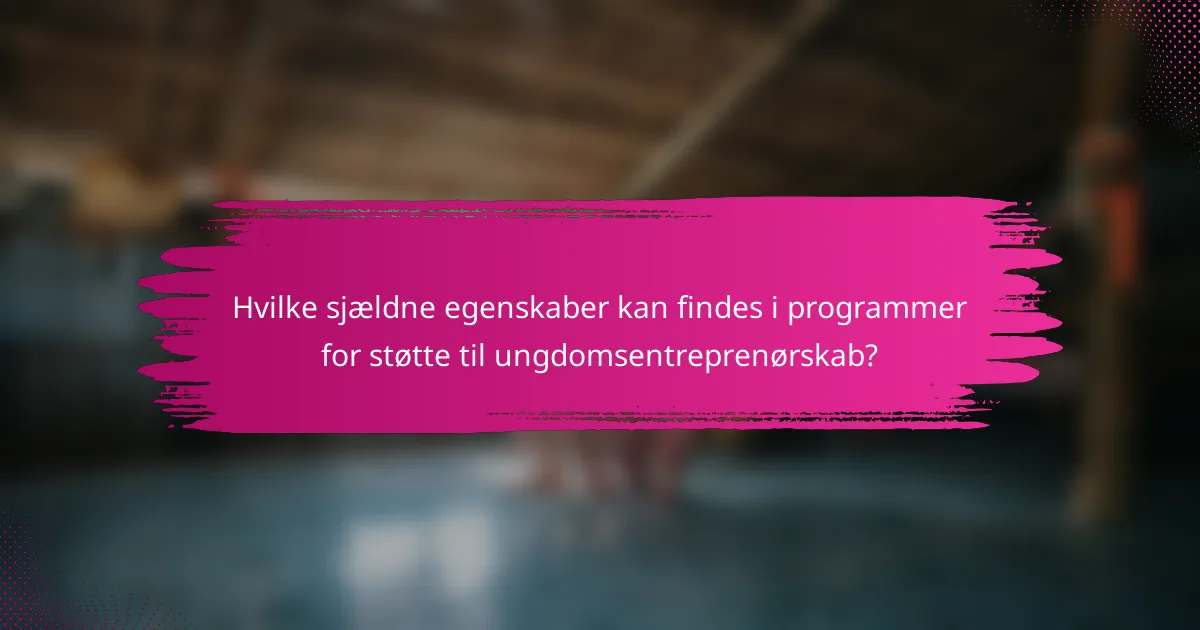 Hvilke sjældne egenskaber kan findes i programmer for støtte til ungdomsentreprenørskab?